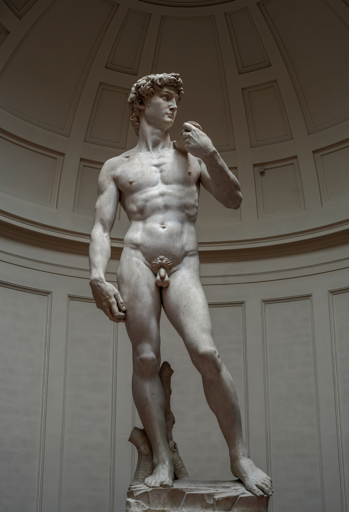 Michelangelo's David — carved from a block too narrow, too tall, abandoned for 35 years. The flaws did not prevent the masterpiece. They defined it.